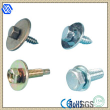 Hex Head/Round Head /Countersunk Head Screw for Sale